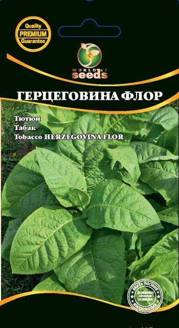 Насіння табака | Семена табака 
