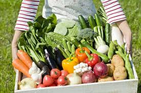 Як вирощувати популярні овочеві культури