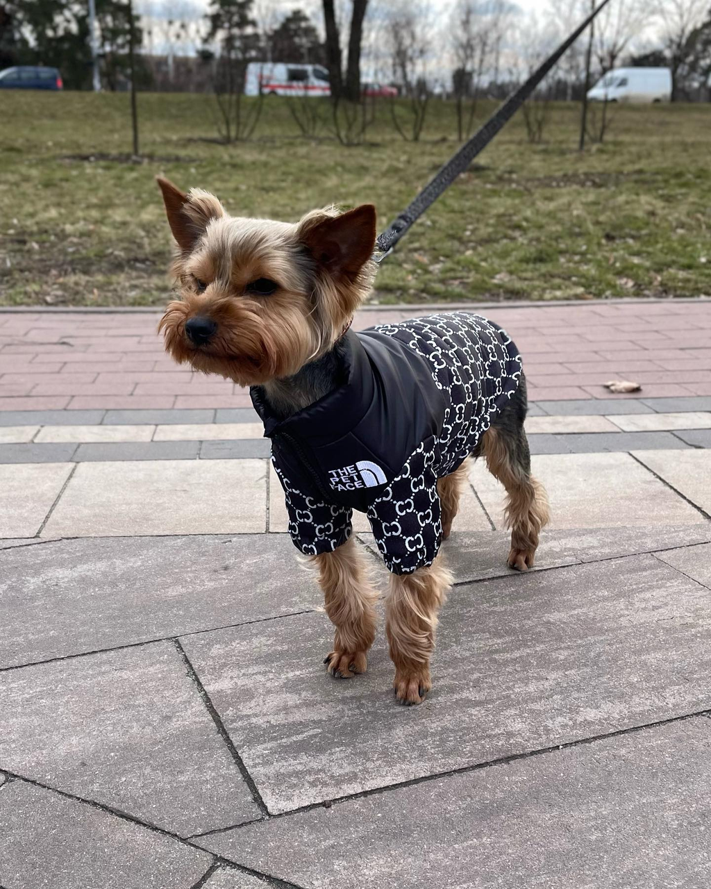 Теплий жилет для собак The Pet Face чорного кольору розмір S Теплий жилет для собак The Pet Face чорного кольору розмір S