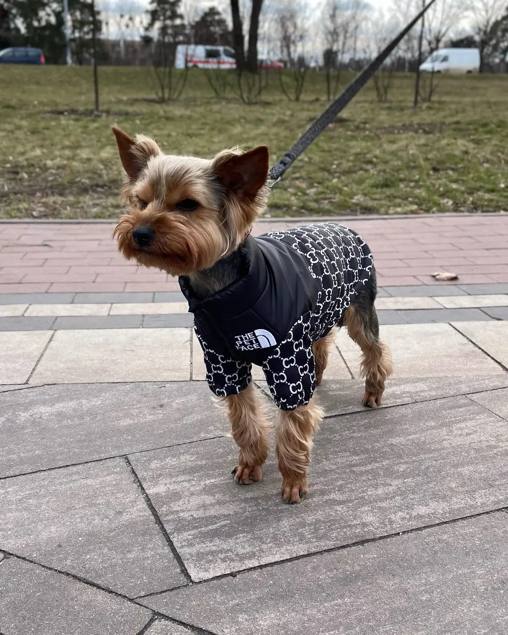Теплый жилет для собак The Pet Face черного цвета размер XL Теплый жилет для собак The Pet Face черного цвета размер XL