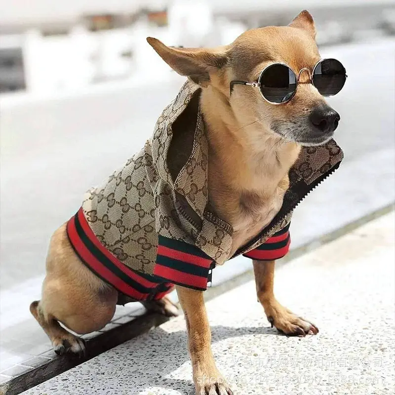 Брендова куртка для собак у стилі Gucci коричнева розмір XL Брендова куртка для собак у стилі Gucci коричнева розмір XL