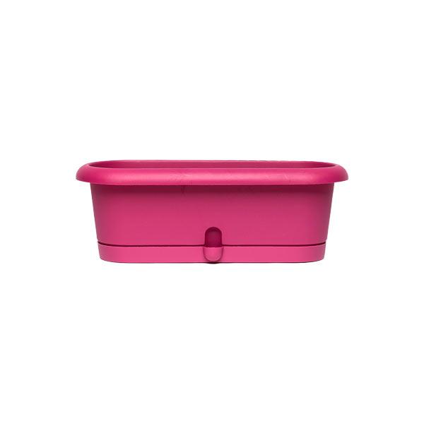 Горщик для кактусів FormPlastic LOTOS-30 2 л пурпуровий Form-Plastic Горщик для кактусів FormPlastic LOTOS-30 2 л пурпуровий Form-Plastic