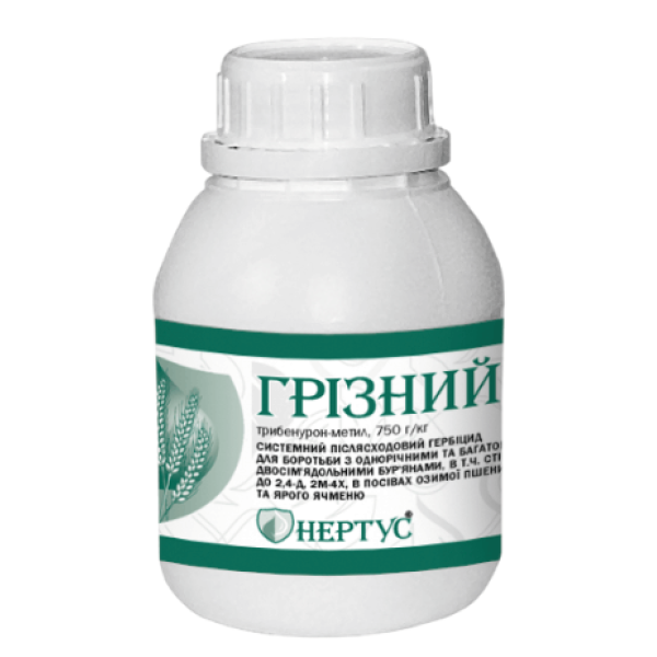 Грізний Грізний