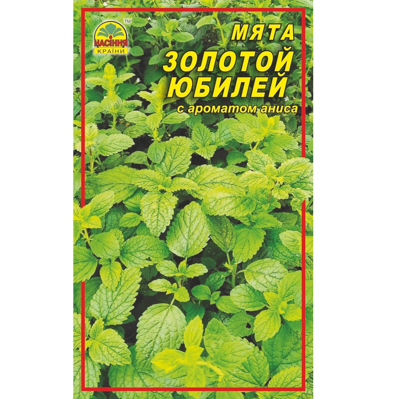 Насіння М'яти Золотий ювілей 0,2 г (Насіння країни) Насіння М'яти Золотий ювілей 0,2 г (Насіння країни)