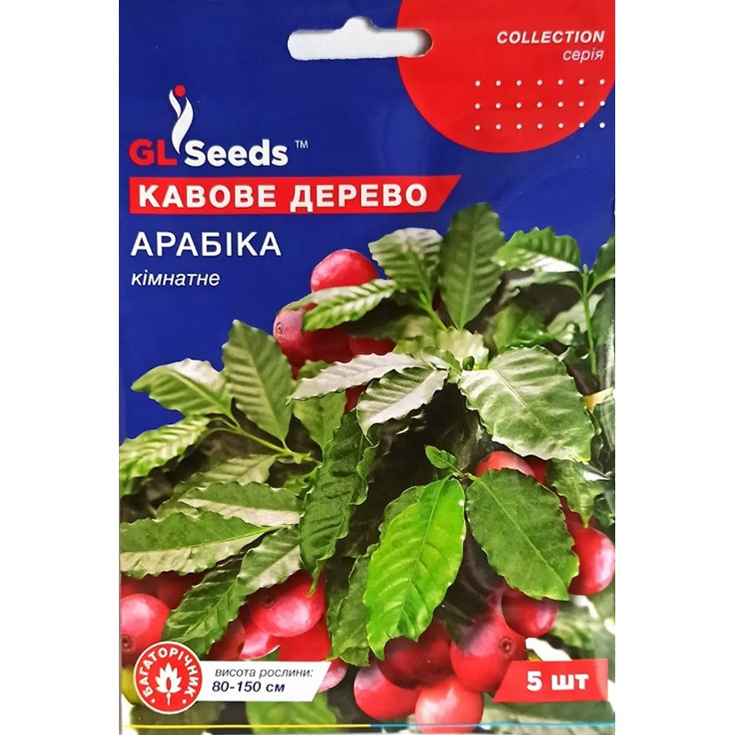 Семена Кофейное дерево Арабика 5 шт Семена Кофейное дерево Арабика 5 шт