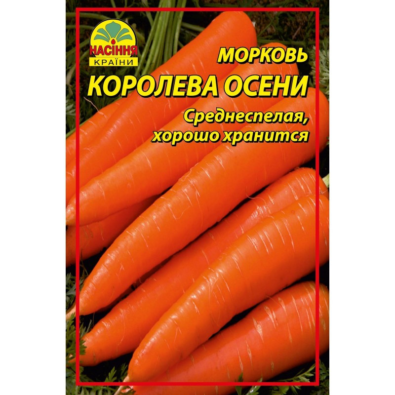 Насіння моркви Королева осені 15 г (Насіння країни) Насіння моркви Королева осені 15 г (Насіння країни)