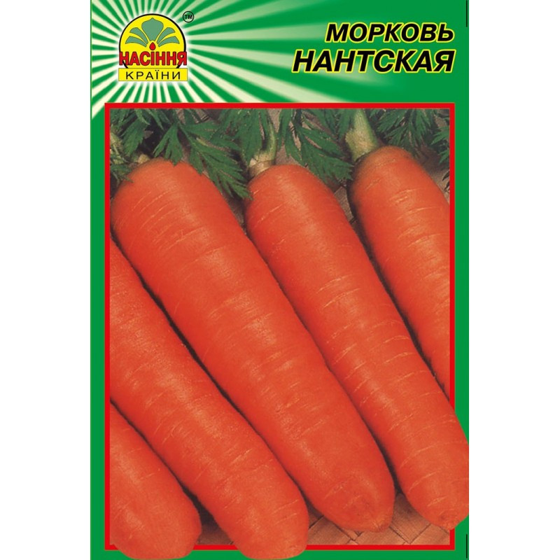 Насіння моркви Нантська 15 г (Насіння країни) Насіння моркви Нантська 15 г (Насіння країни)