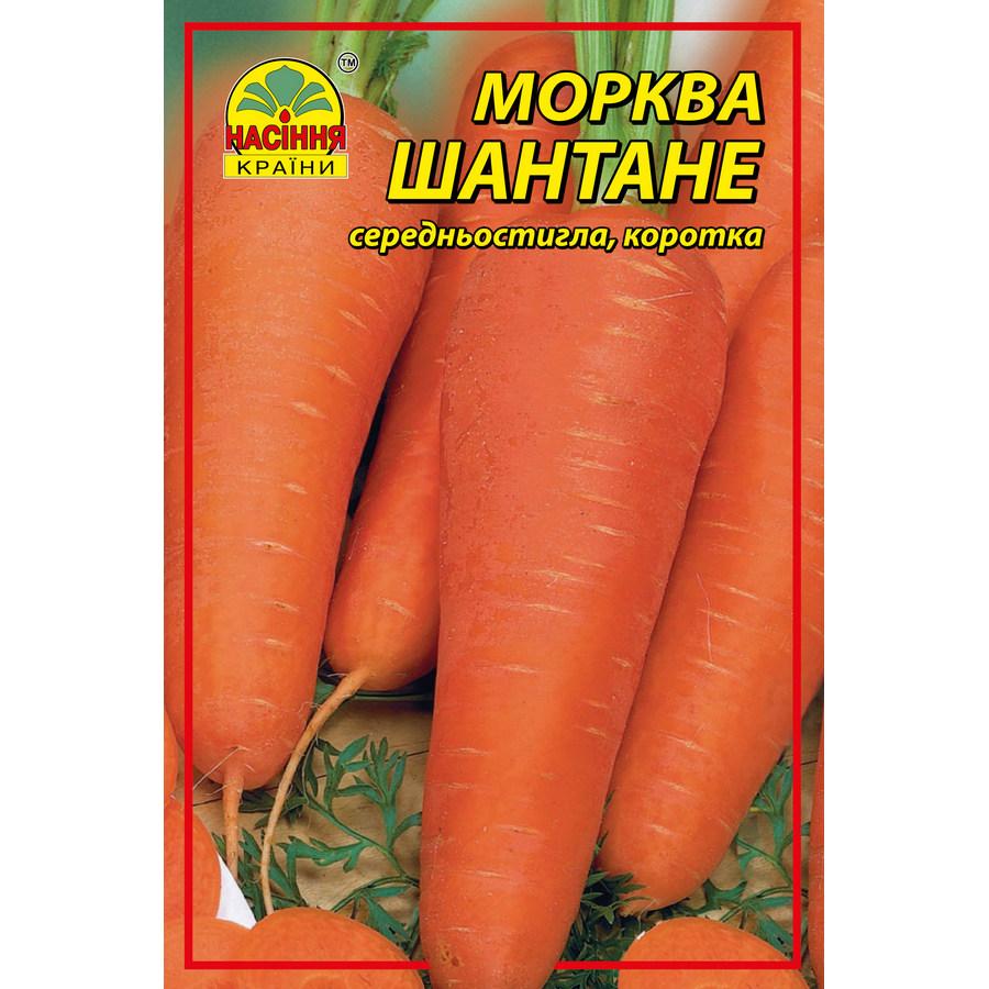 Насіння моркви Шантане 15 г (Насіння країни) Насіння моркви Шантане 15 г (Насіння країни)