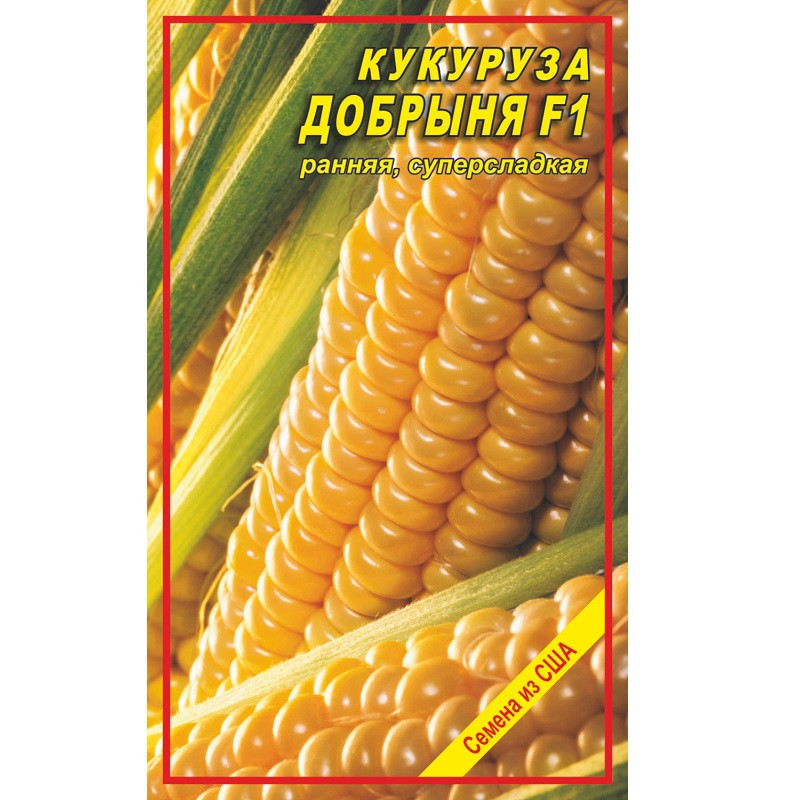 Семена кукурузы Добрыня F1 - 10 шт. Семена кукурузы Добрыня F1 - 10 шт.