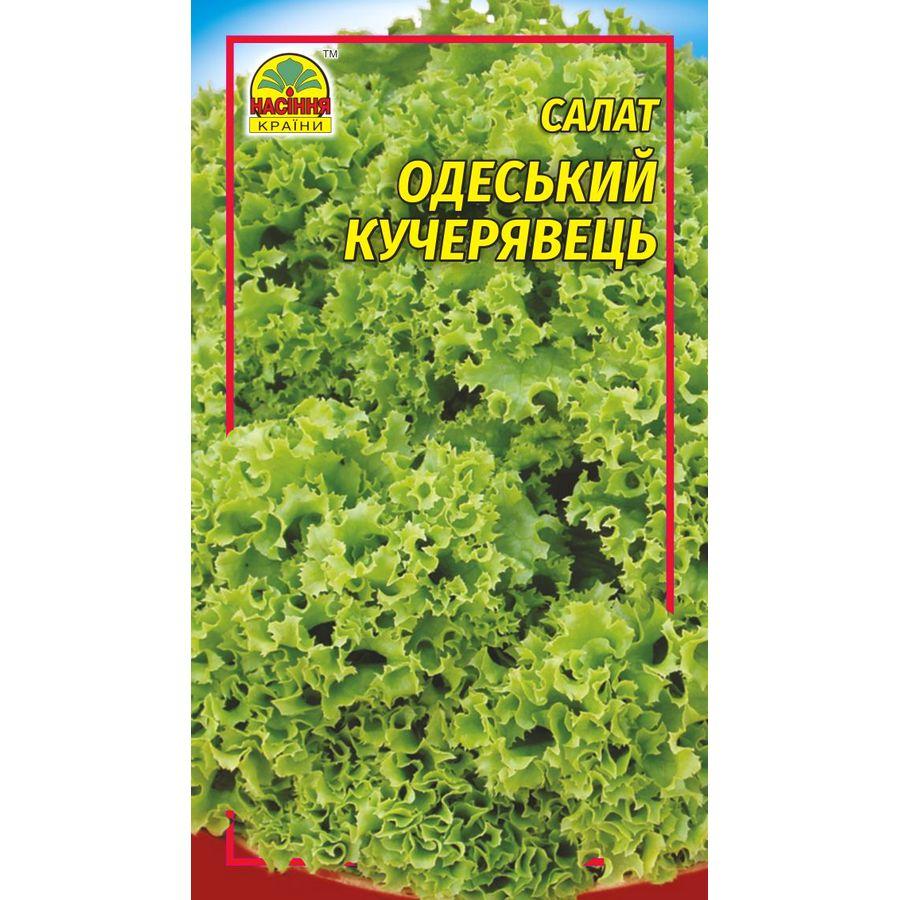 Насіння салату Одеський кучерявий 10 г (Насіння країни) Насіння салату Одеський кучерявий 10 г (Насіння країни)
