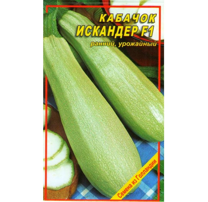 Семена кабачка Искандер F1 5 шт. (Seminis) Семена кабачка Искандер F1 5 шт. (Seminis)