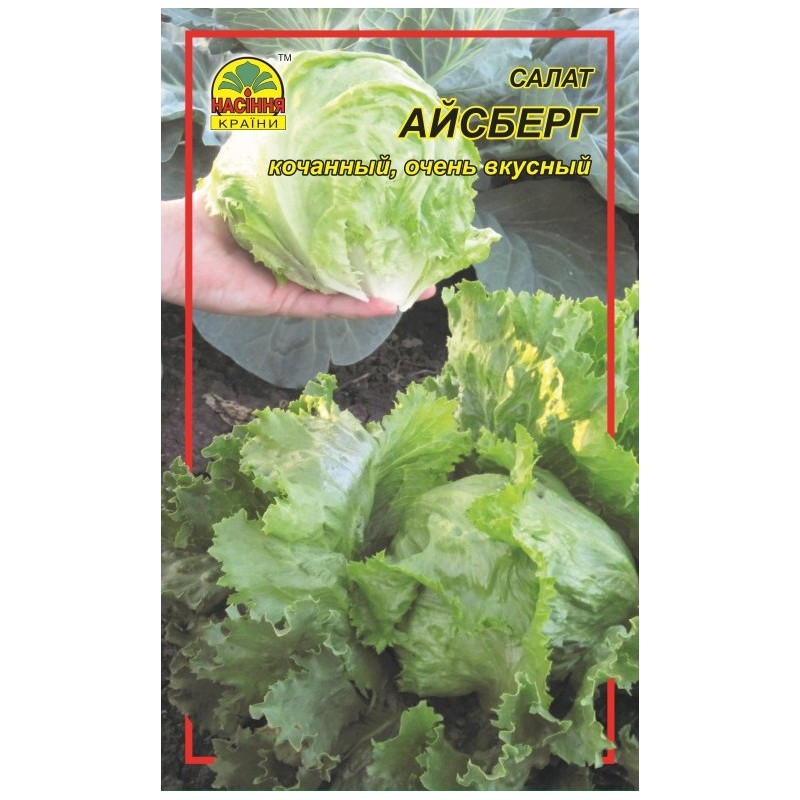 Семена салата Айсберг 0.3 г (Насіння країни) Семена салата Айсберг 0.3 г (Насіння країни)