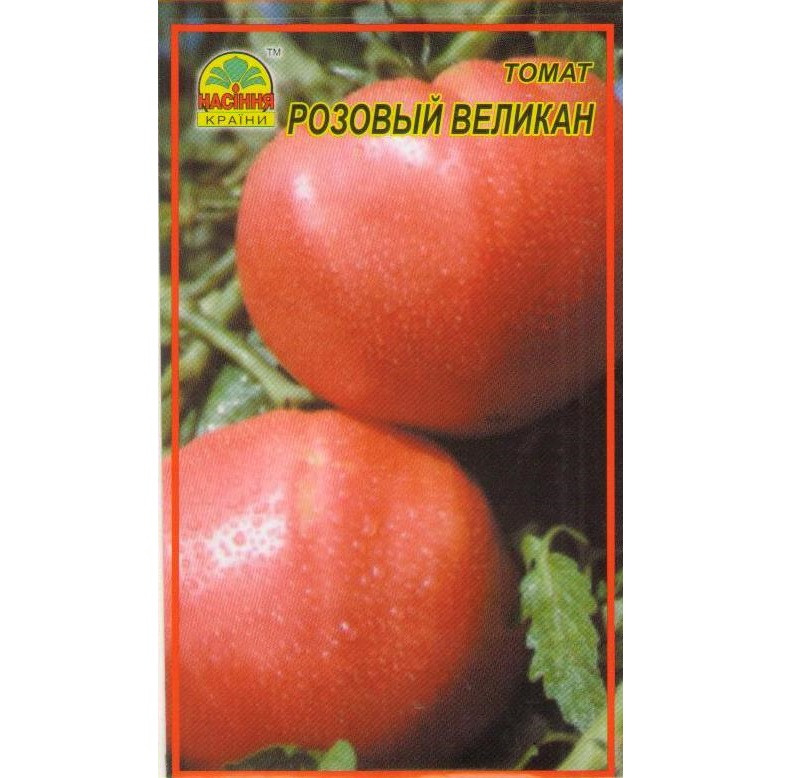 Семена томата Розовый великан 30 шт. (Насіння країни) Семена томата Розовый великан 30 шт. (Насіння країни)