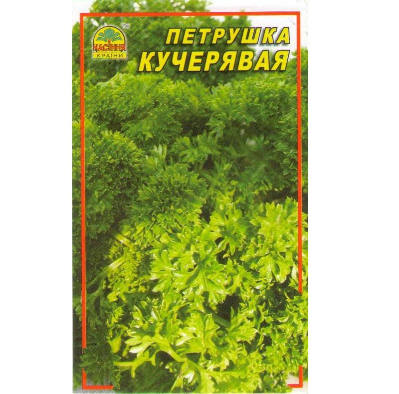 Семена Петрушки кучерявой 10 г (Насіння країни) Семена Петрушки кучерявой 10 г (Насіння країни)