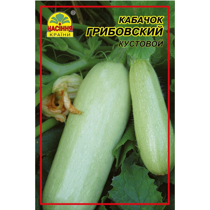 Семена кабачок Грибовский 10 г (Насіння Країни) Семена кабачок Грибовский 10 г (Насіння Країни)