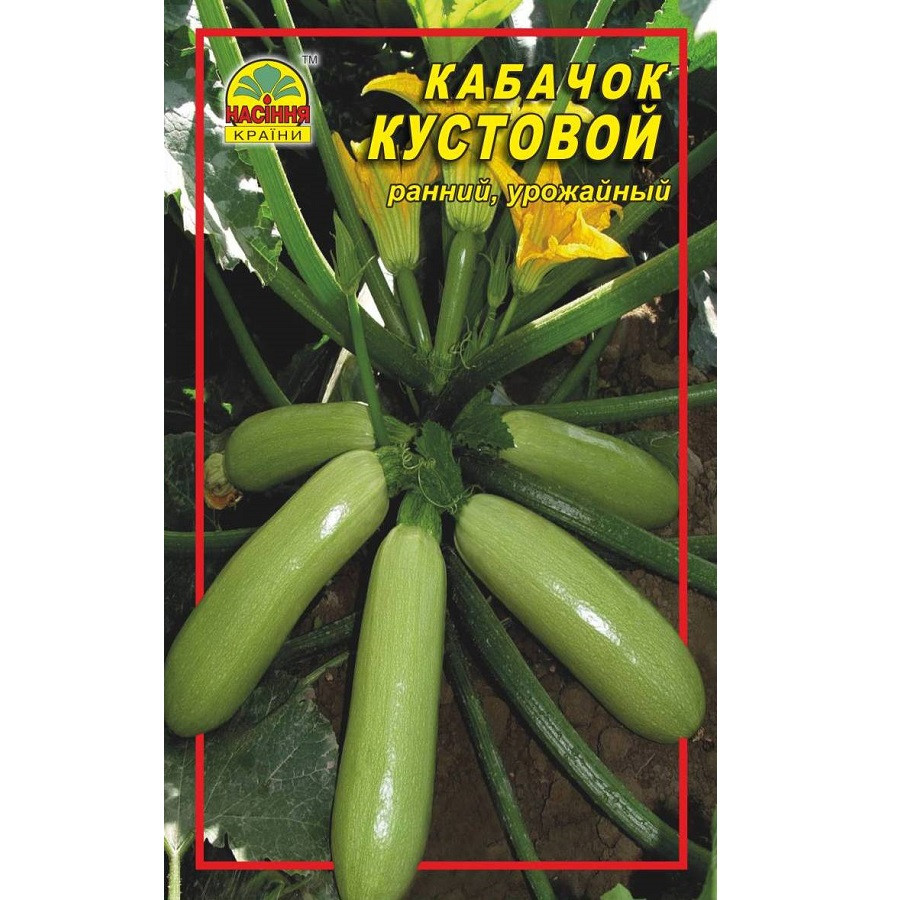 Семена кабачок Кустовой - 10 г Семена кабачок Кустовой - 10 г