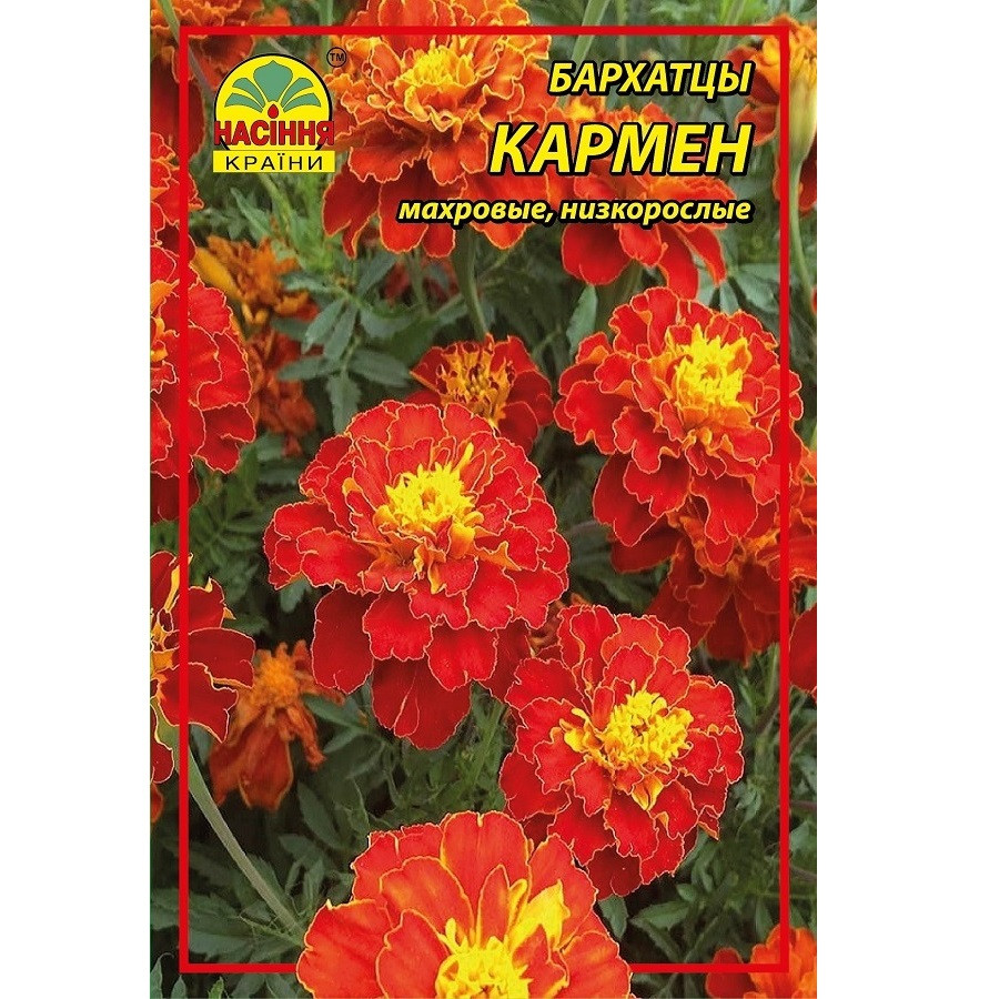 Цветы Бархатцы (чернобривцы) Кармен - 0,5 г Цветы Бархатцы (чернобривцы) Кармен - 0,5 г