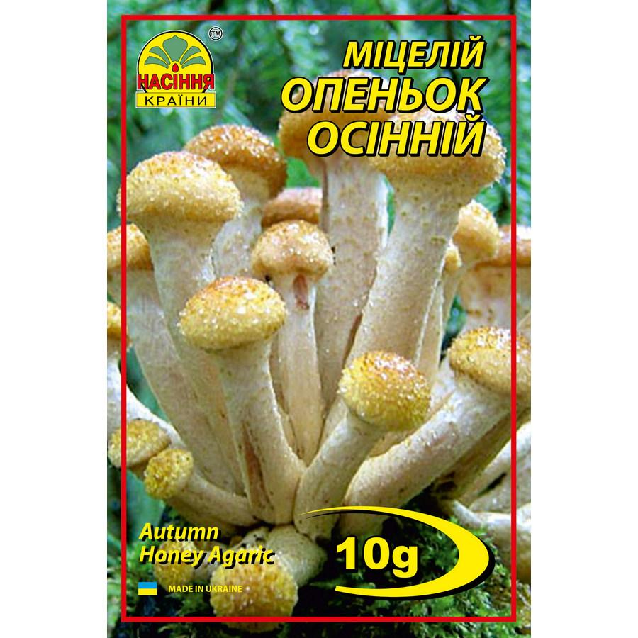 Опеньок осінній 10 г Опеньок осінній 10 г