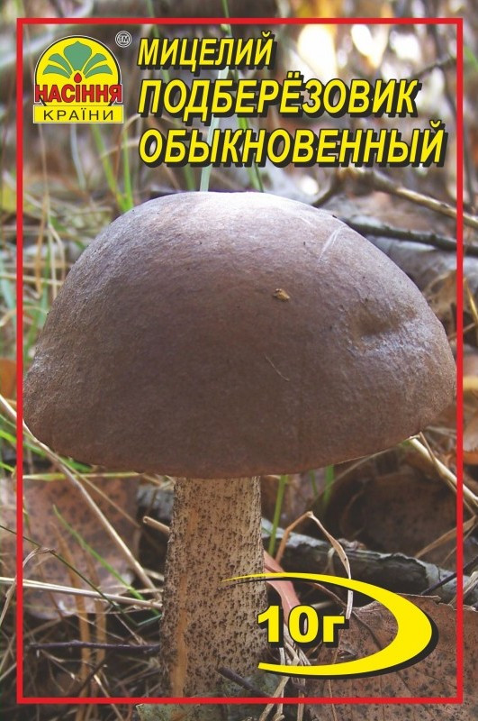 Подберезовик 10 г Подберезовик 10 г