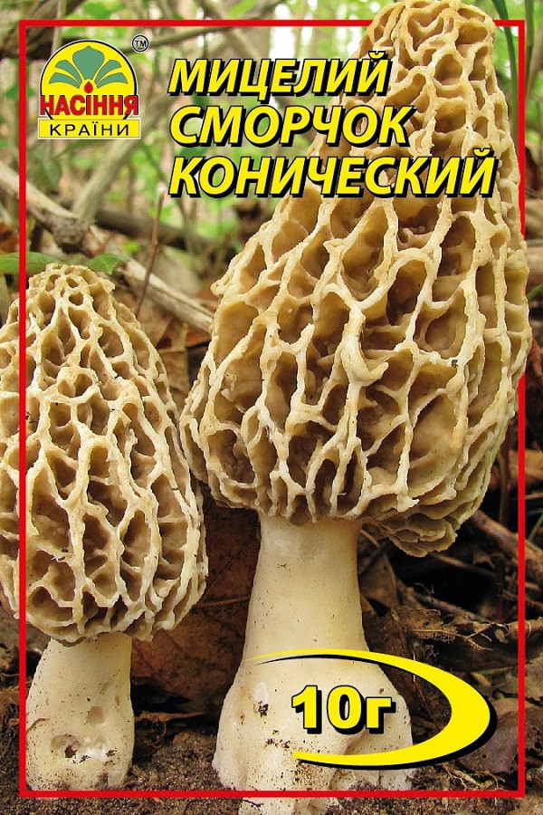 Сморчок конічний 10 г Сморчок конічний 10 г