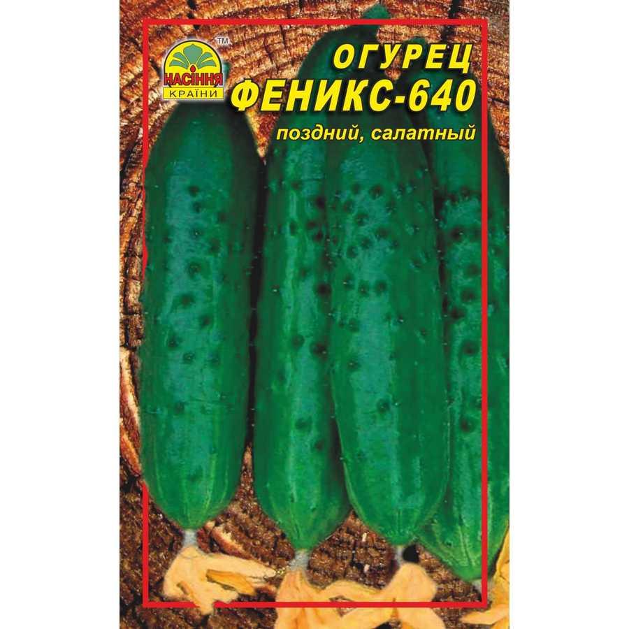 Насіння огірка Фенікс-640 0,5 г (Насіння країни) Насіння огірка Фенікс-640 0,5 г (Насіння країни)