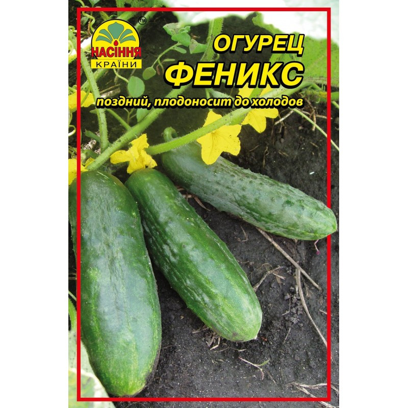 Семена огурца Феникс 5 г Семена огурца Феникс 5 г