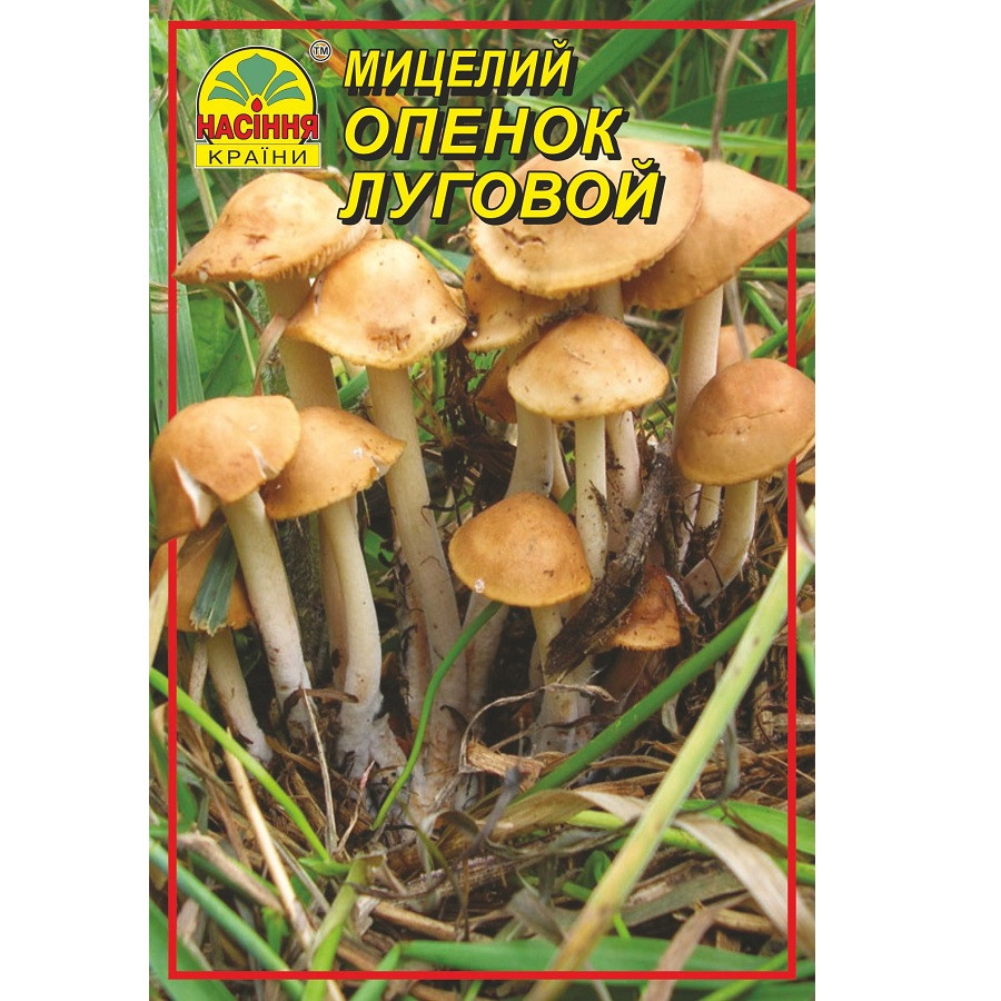 Опеньок луговий 10 г Опеньок луговий 10 г