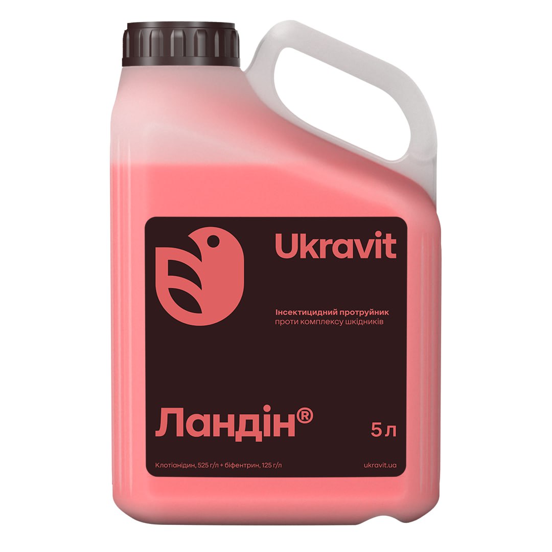 Ландін Ландін