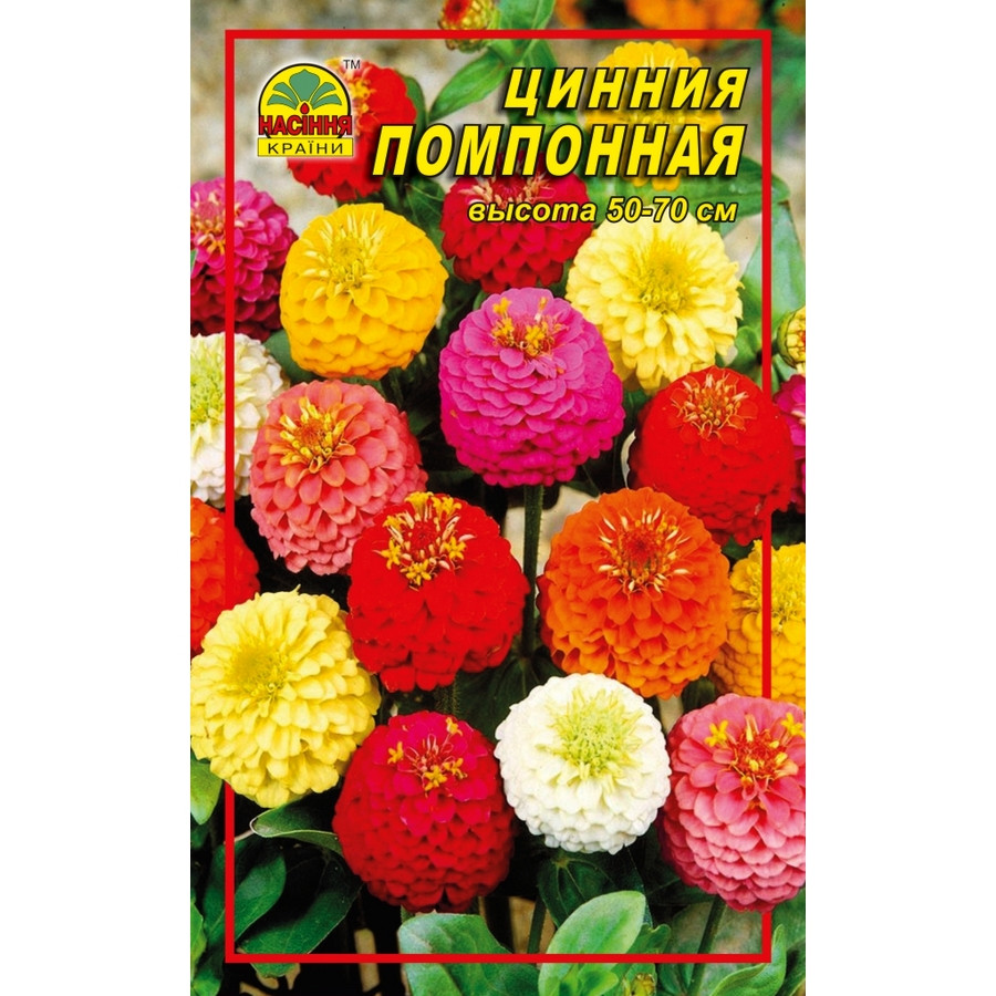 Насіння Цинія помпонна 0,5 г (Насіння країни) Насіння Цинія помпонна 0,5 г (Насіння країни)