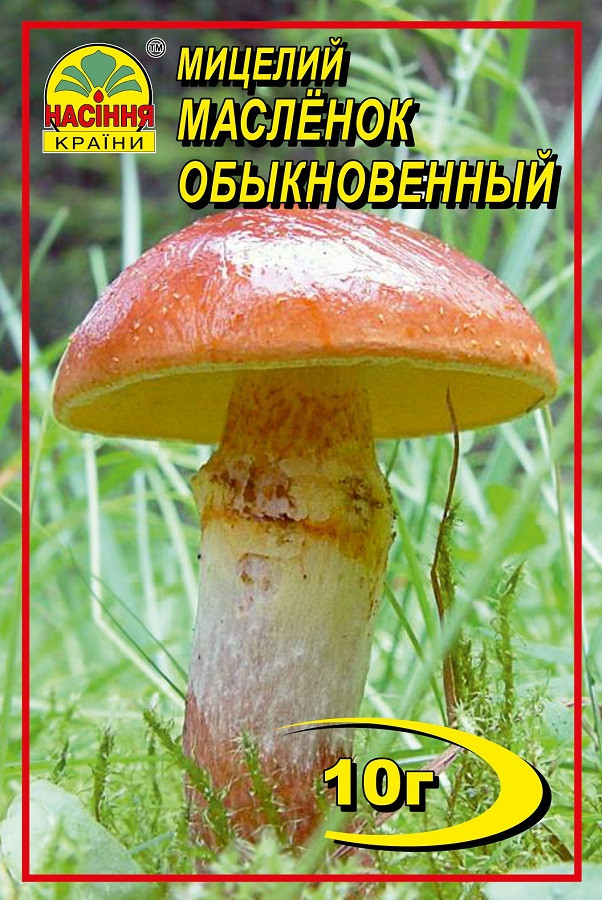 Масленок 10 г Масленок 10 г