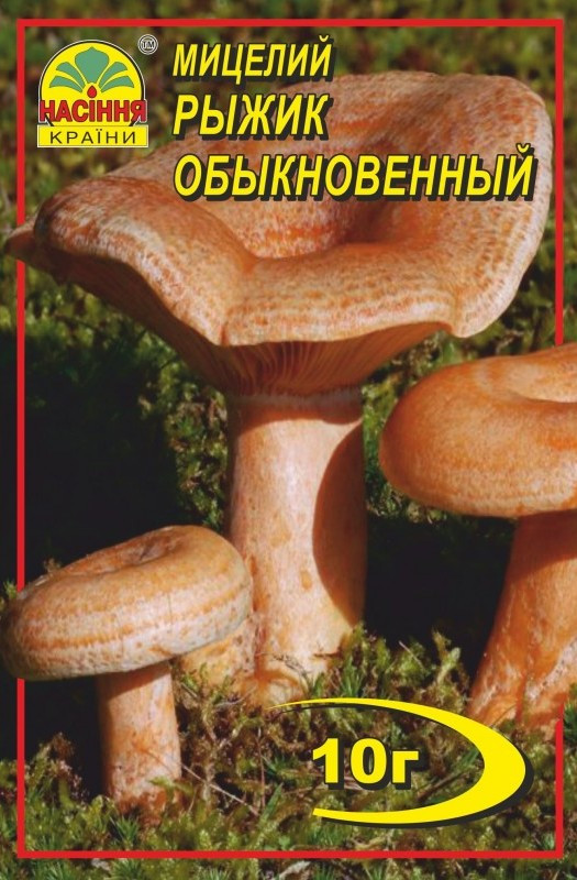 Рыжик 10 г Рыжик 10 г