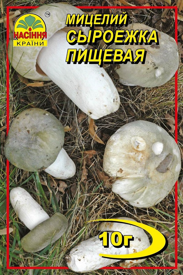 Сыроежка 10 г Сыроежка 10 г