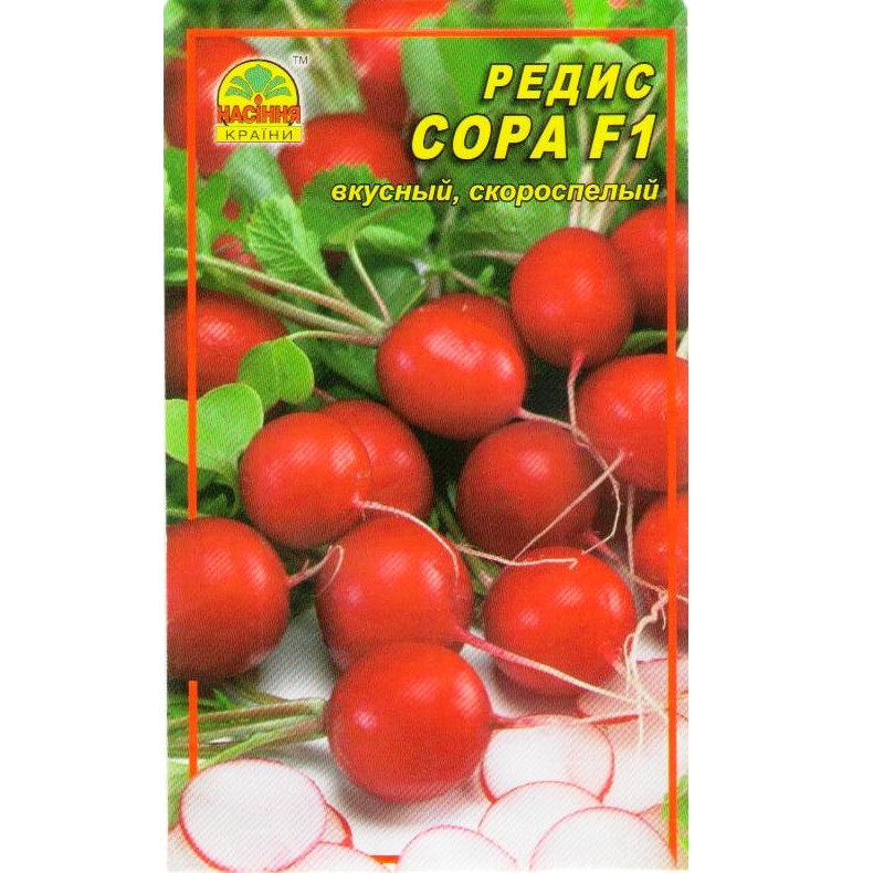 Семена редиса Сора F1 1 г (Насіння країни) Семена редиса Сора F1 1 г (Насіння країни)