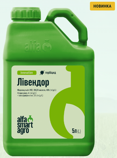 Лівендор Лівендор