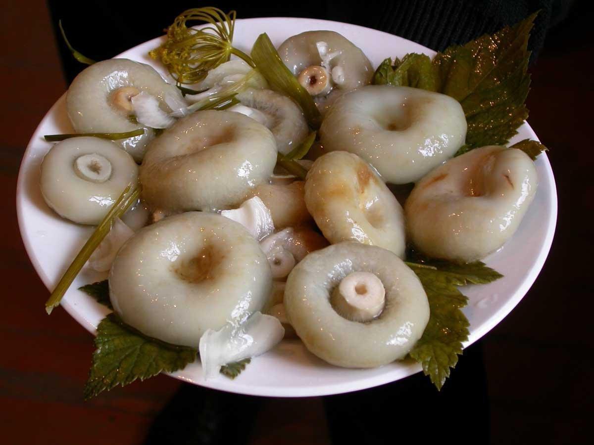 https://hectare.ua/upload/68fd487b9784f.jpg https://hectare.ua/upload/68fd487b9784f.jpg