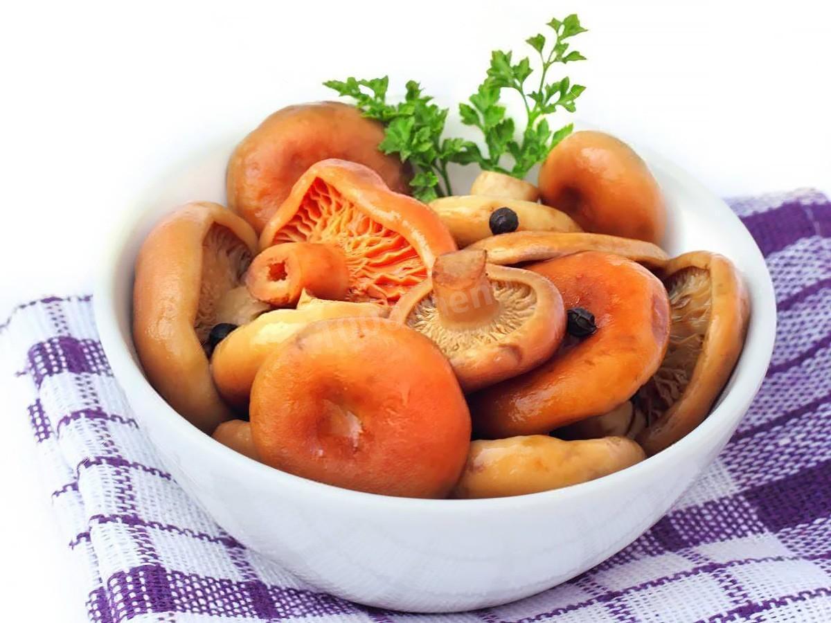 https://hectare.ua/upload/68fd48844d58d.jpg https://hectare.ua/upload/68fd48844d58d.jpg