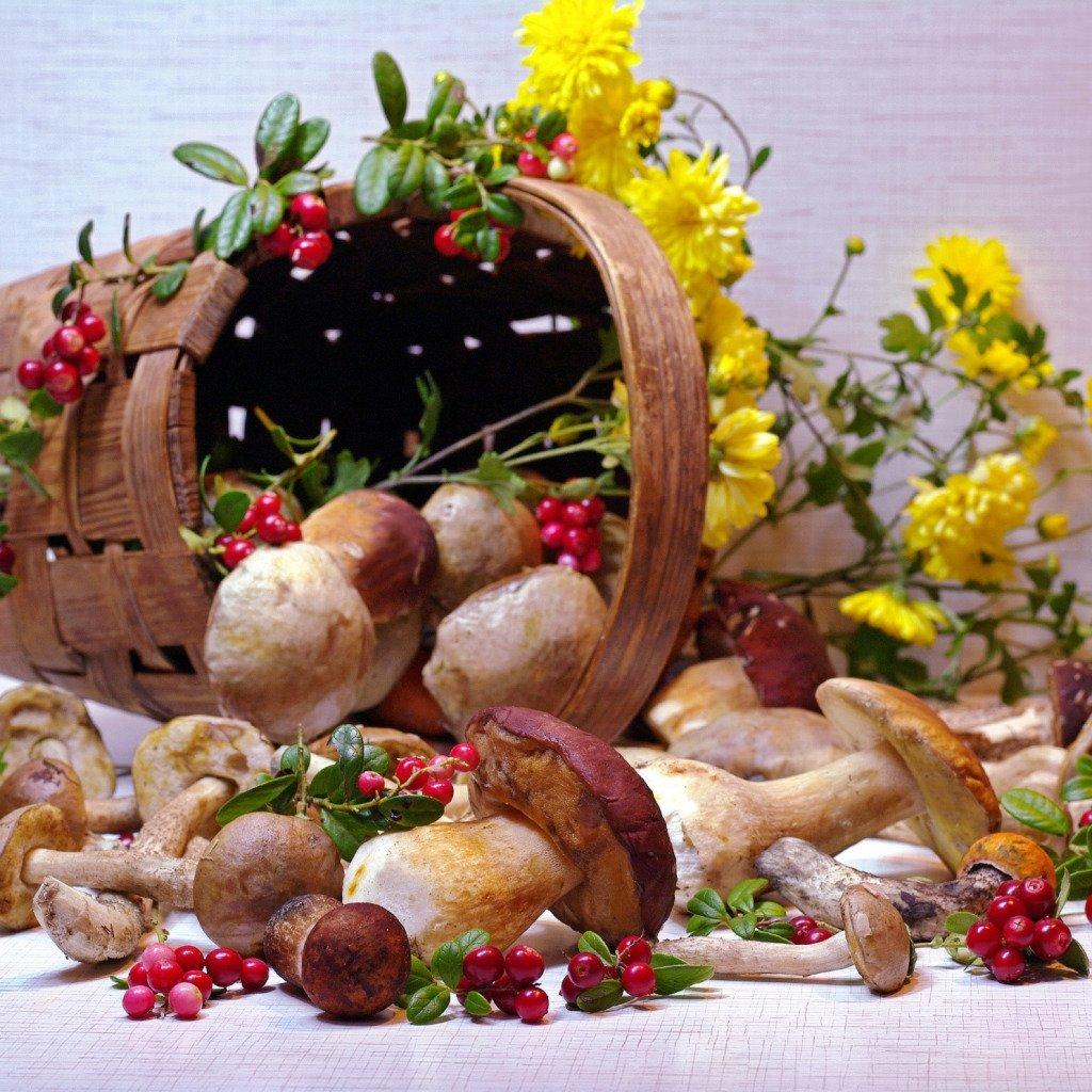 https://hectare.ua/upload/68fd488d92aab.jpg https://hectare.ua/upload/68fd488d92aab.jpg