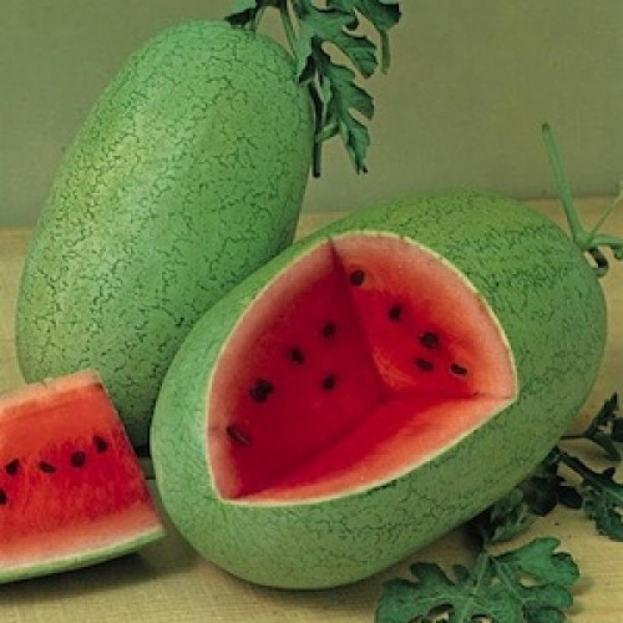 https://hectare.ua/upload/68fd4899075dd.jpg https://hectare.ua/upload/68fd4899075dd.jpg