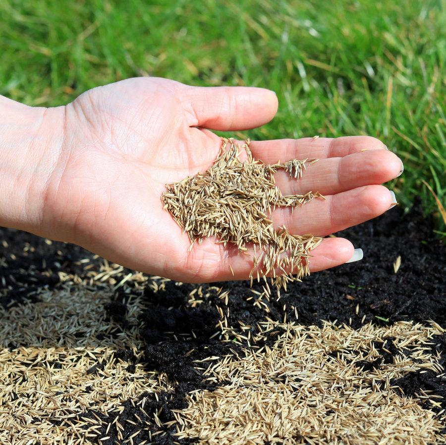 https://hectare.ua/upload/68fd489e2e7bc.jpg https://hectare.ua/upload/68fd489e2e7bc.jpg