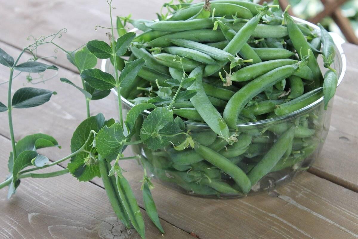 https://hectare.ua/upload/68fd48a10609e.jpg https://hectare.ua/upload/68fd48a10609e.jpg