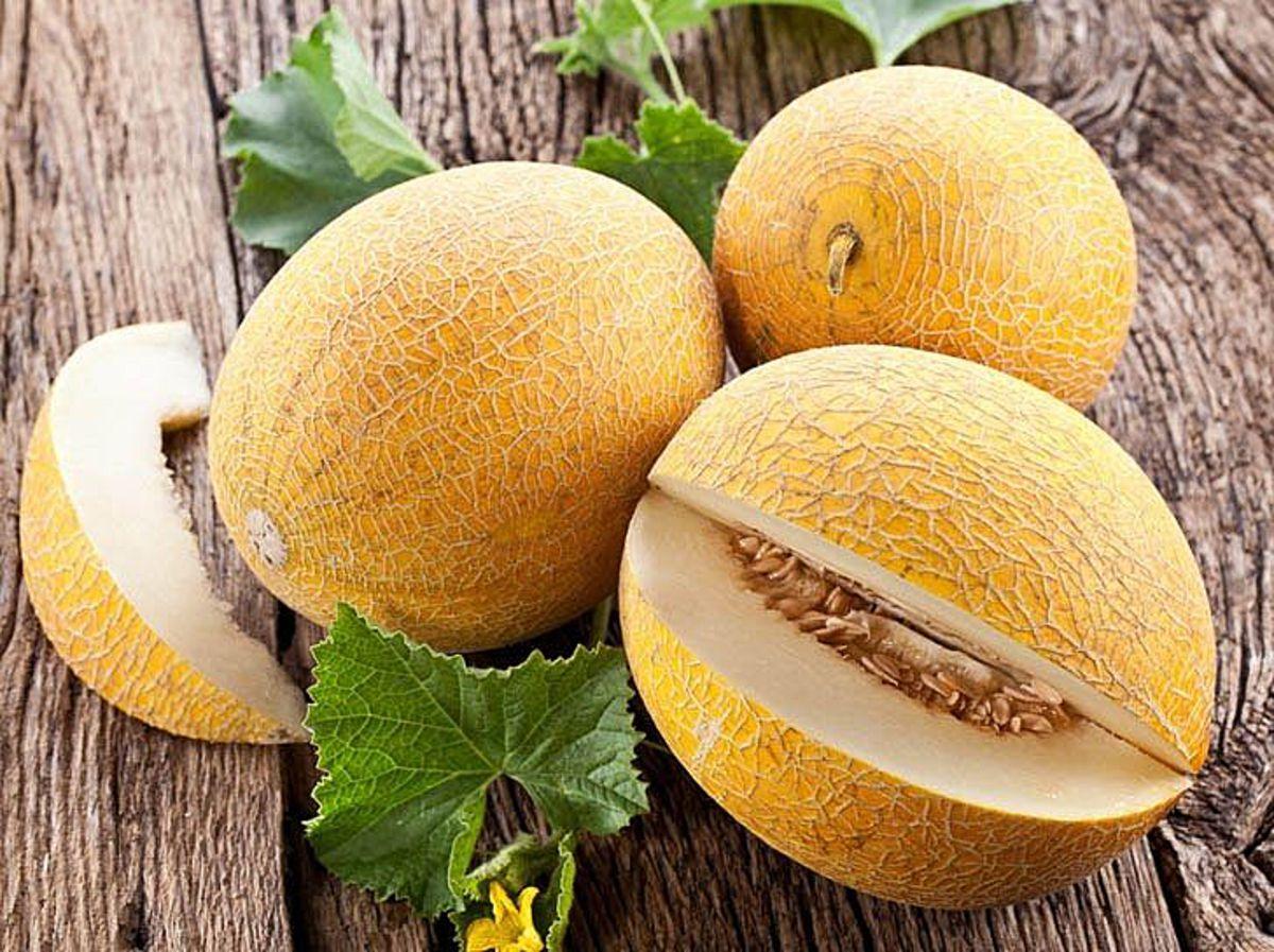 https://hectare.ua/upload/68fd48a4b4c5b.jpg https://hectare.ua/upload/68fd48a4b4c5b.jpg