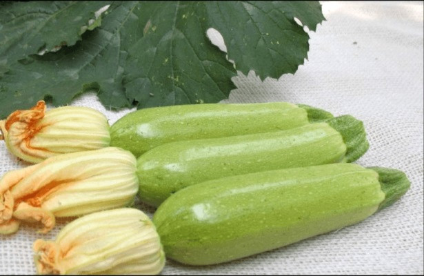 https://hectare.ua/upload/68fd48b3db331.jpg https://hectare.ua/upload/68fd48b3db331.jpg