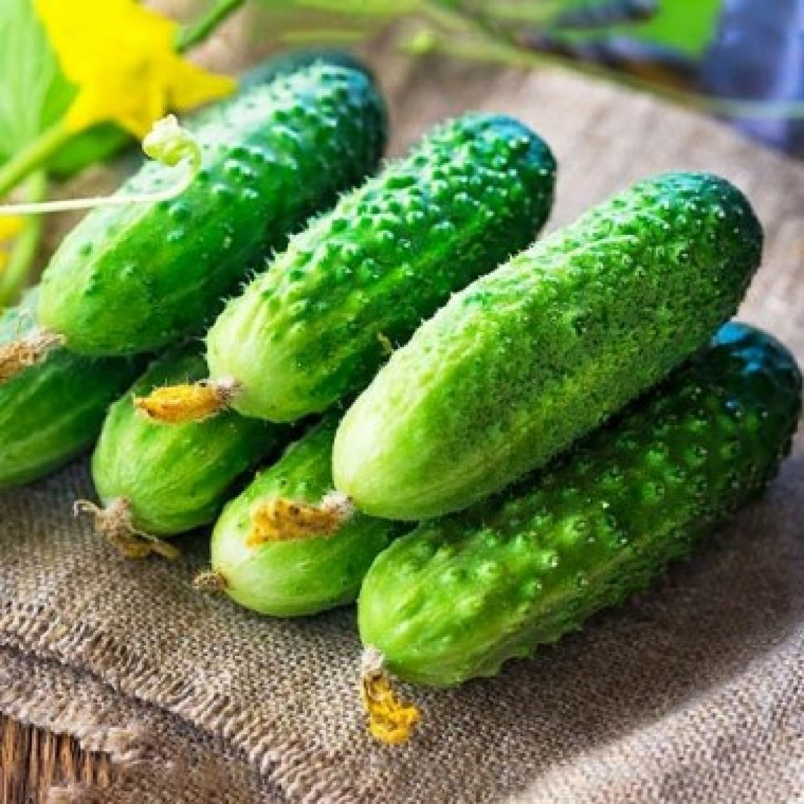 https://hectare.ua/upload/68fd48cdcdc55.jpg https://hectare.ua/upload/68fd48cdcdc55.jpg