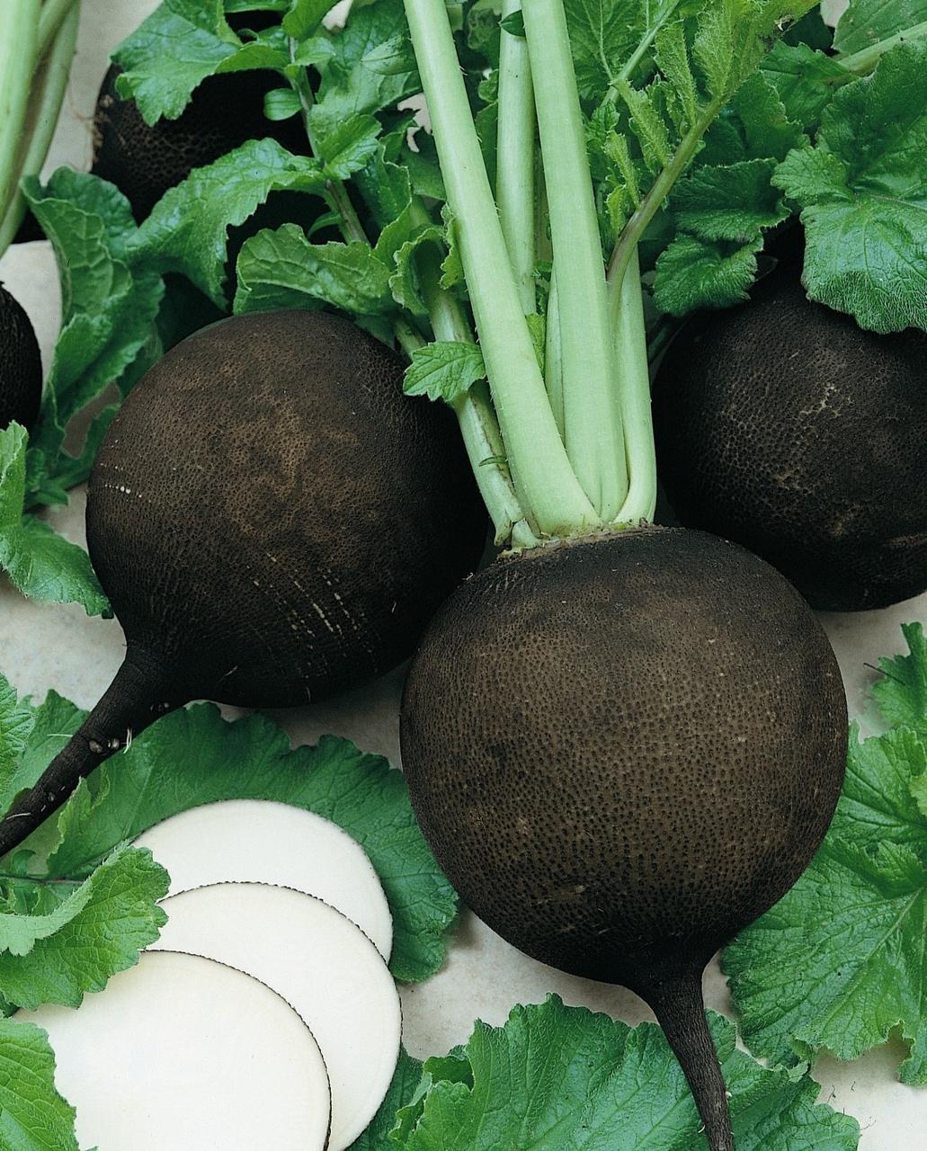 https://hectare.ua/upload/68fd48e78f2fb.jpg https://hectare.ua/upload/68fd48e78f2fb.jpg