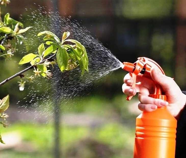 https://hectare.ua/upload/68fd48f0bbf57.jpg https://hectare.ua/upload/68fd48f0bbf57.jpg