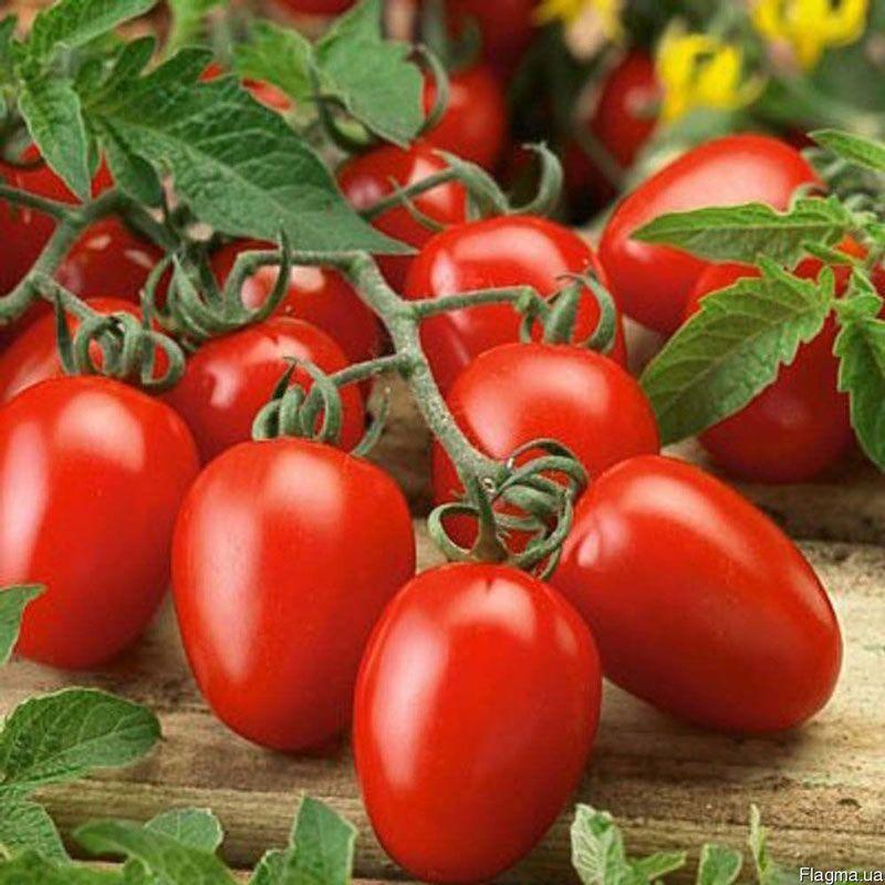 https://hectare.ua/upload/68fd48f33eeab.jpg https://hectare.ua/upload/68fd48f33eeab.jpg