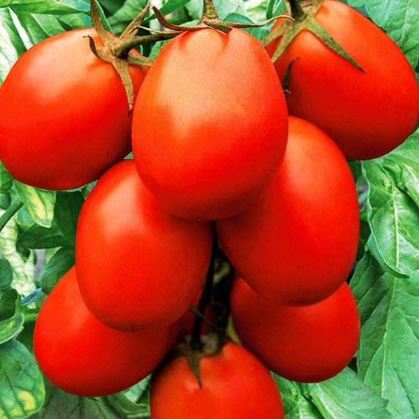 https://hectare.ua/upload/68fd48f38aa62.jpg https://hectare.ua/upload/68fd48f38aa62.jpg