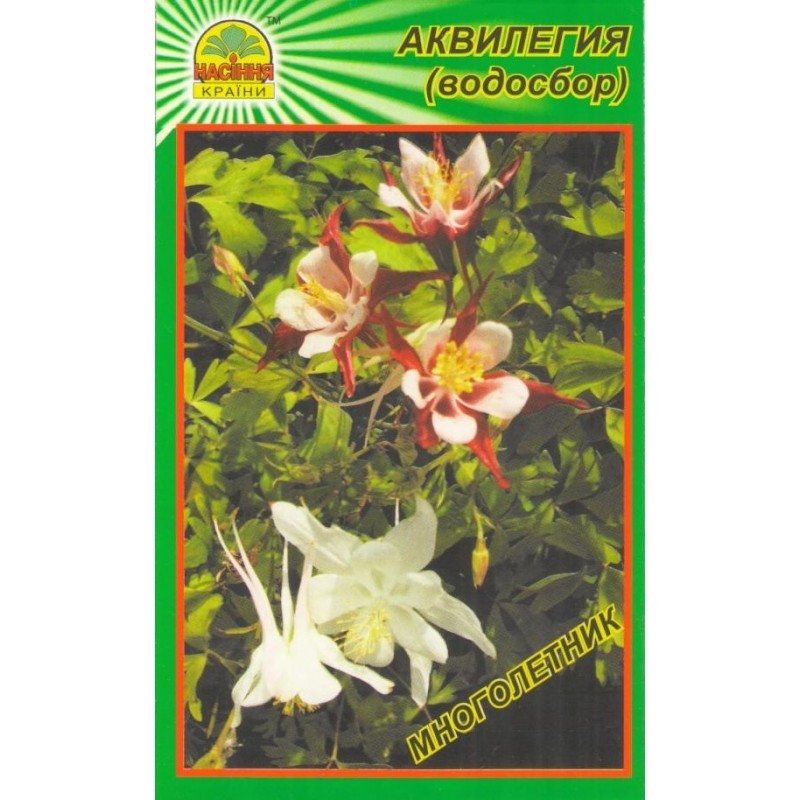 https://hectare.ua/upload/68fd49084a436.jpg https://hectare.ua/upload/68fd49084a436.jpg
