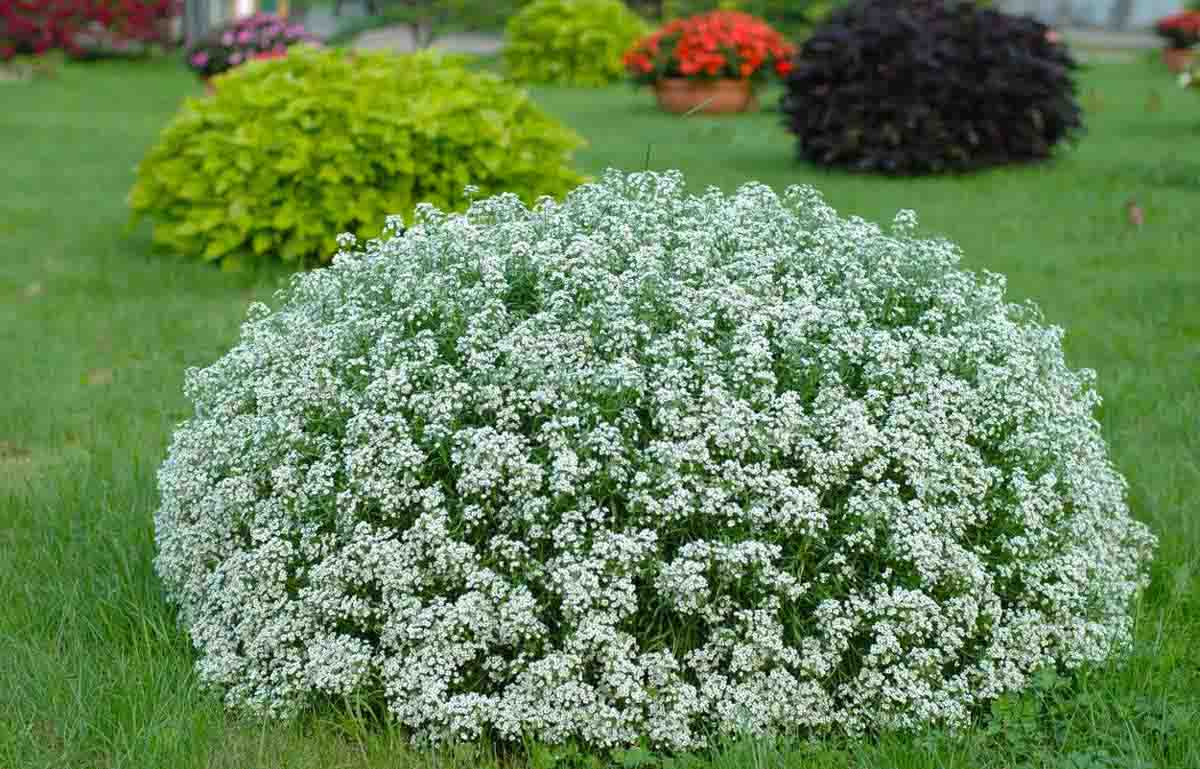 https://hectare.ua/upload/68fd49094686c.jpg https://hectare.ua/upload/68fd49094686c.jpg