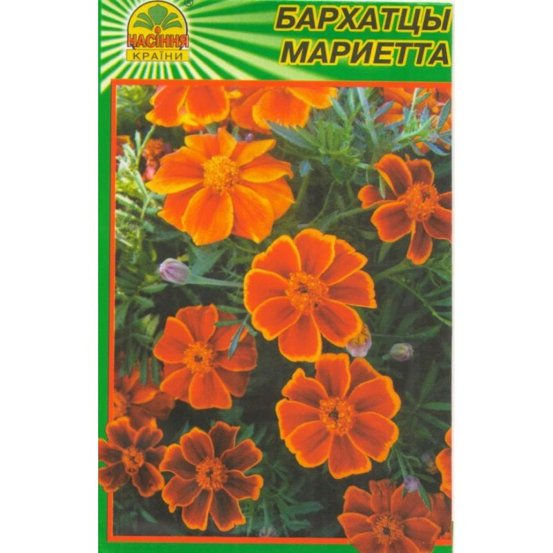 https://hectare.ua/upload/68fd4914351e7.jpg https://hectare.ua/upload/68fd4914351e7.jpg